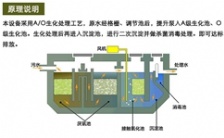  一體化污水設(shè)備在農(nóng)村污水上的運(yùn)用